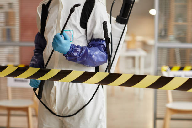 Professional Sewage Cleanup technician working in Magnolia, OH